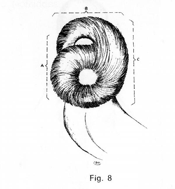 fig08