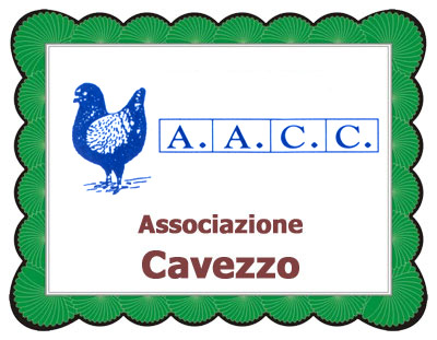 cavezzo
