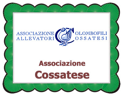 cossatese